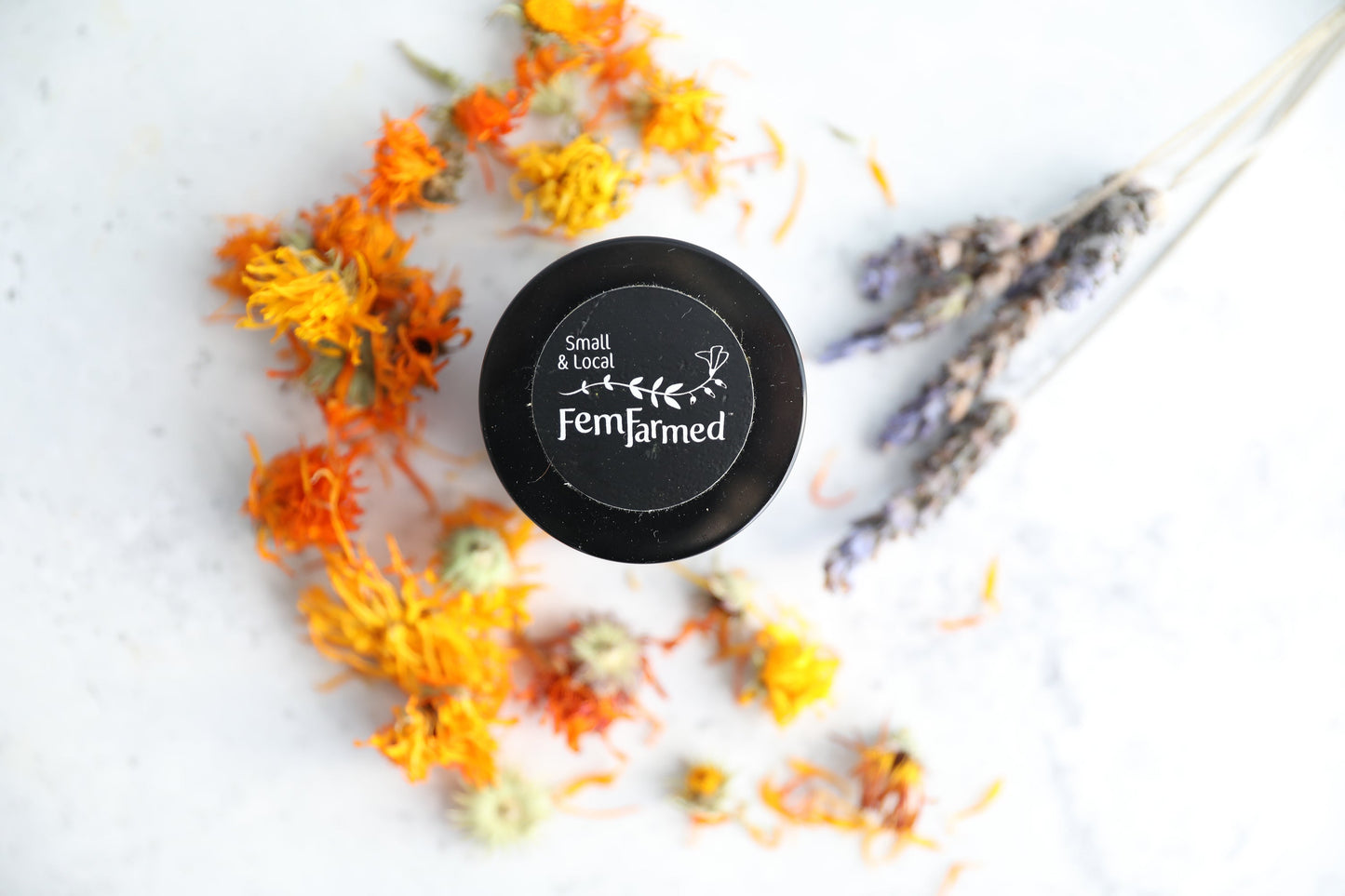 Annie's Famous Healing Salve